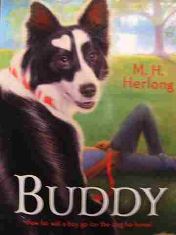 (image for) Buddy (P) by M H Herlong