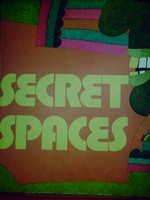 (image for) New Macmillan Reading Series r Level 15 Secret Spaces (P)