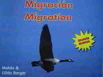 (image for) Migracion / Migration (P) by Melvin & Gilda Berger