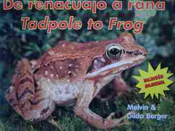 (image for) De renacuajo a rana / Tadpole to Frog (P) by Berger