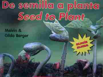 (image for) De semilla a planta / Seed to Plant (P) by Melvin & Gilda Berger