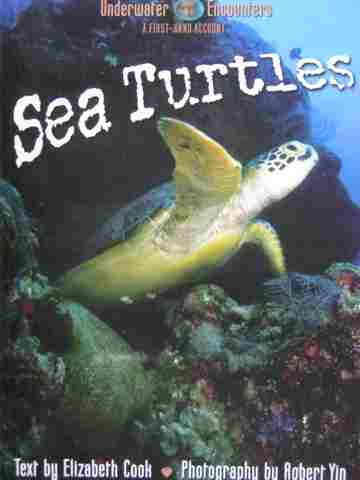 (image for) Underwater Encounters Sea Turtles (P) by Elizabeth Cook