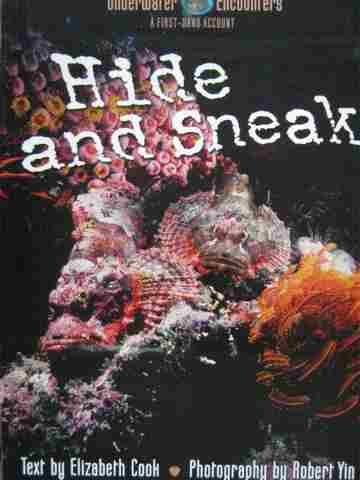 (image for) Underwater Encounters Hide & Sneak (P) by Elizabeth Cook
